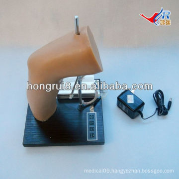 ISO Deluxe Elbow Intra-articular Injection Training Model, elbow joint injection model